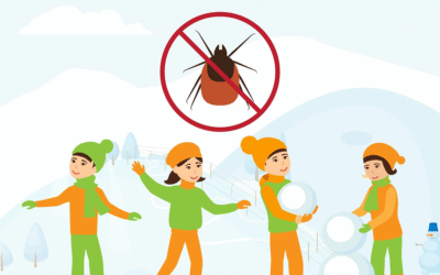 How to Stay Tick-Safe During Winter Outdoor Fun
